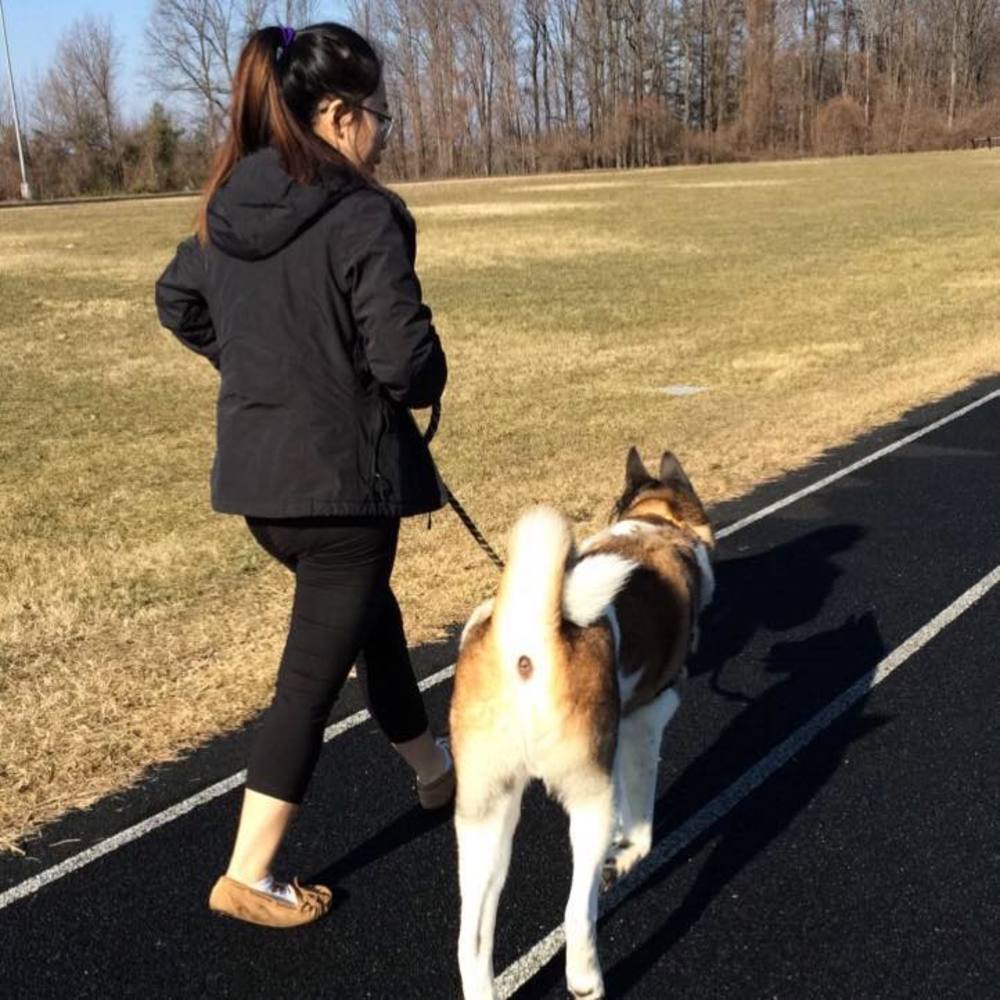 Meet your Posher, Karen